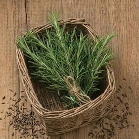 Common, Rosemary Seed